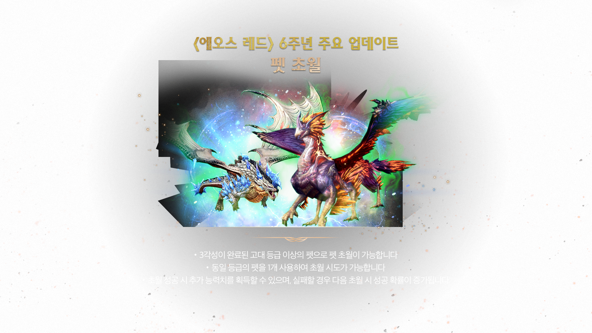 펫 초월